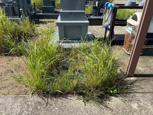 思いでの丘霊園 お墓工事前の様子